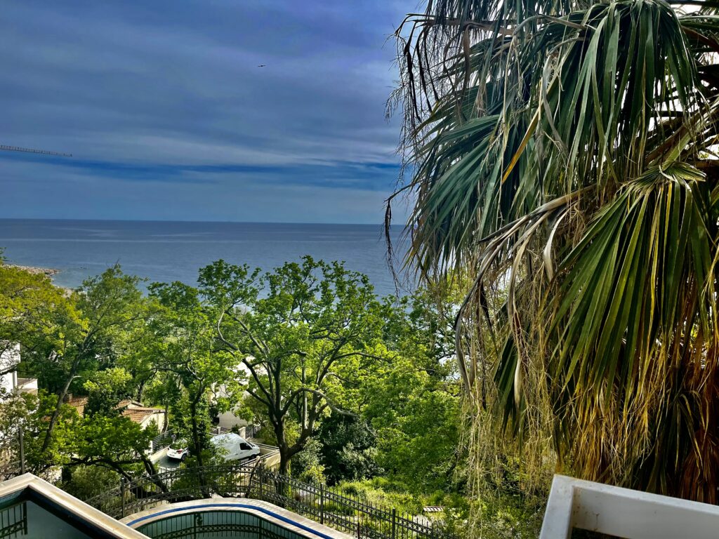 A hotel with a sea view for sale in Perazica Do 111